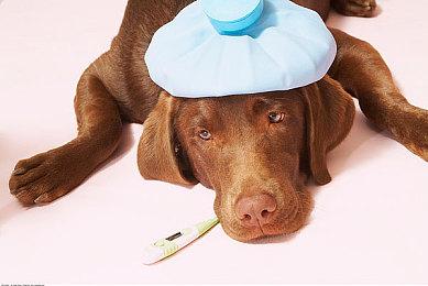 《刺客信条：幻景》前情提要预告 10月1日发售